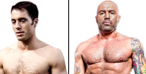 Hair Loss from Steroids Grow Back